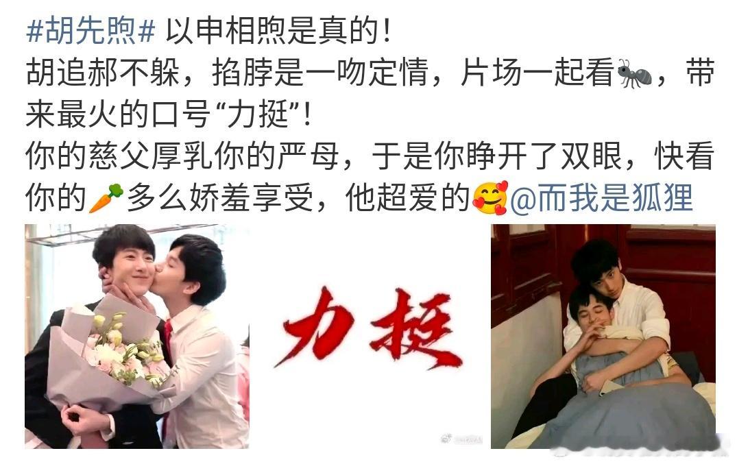 王安宇粉丝怎么⛰️胡先煦 gc 了？ 