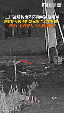 解释不清了！湖南一工厂半夜惊现“漂浮白点”，看门狗嗷嗷狂吠，员工以为进了贼，老板