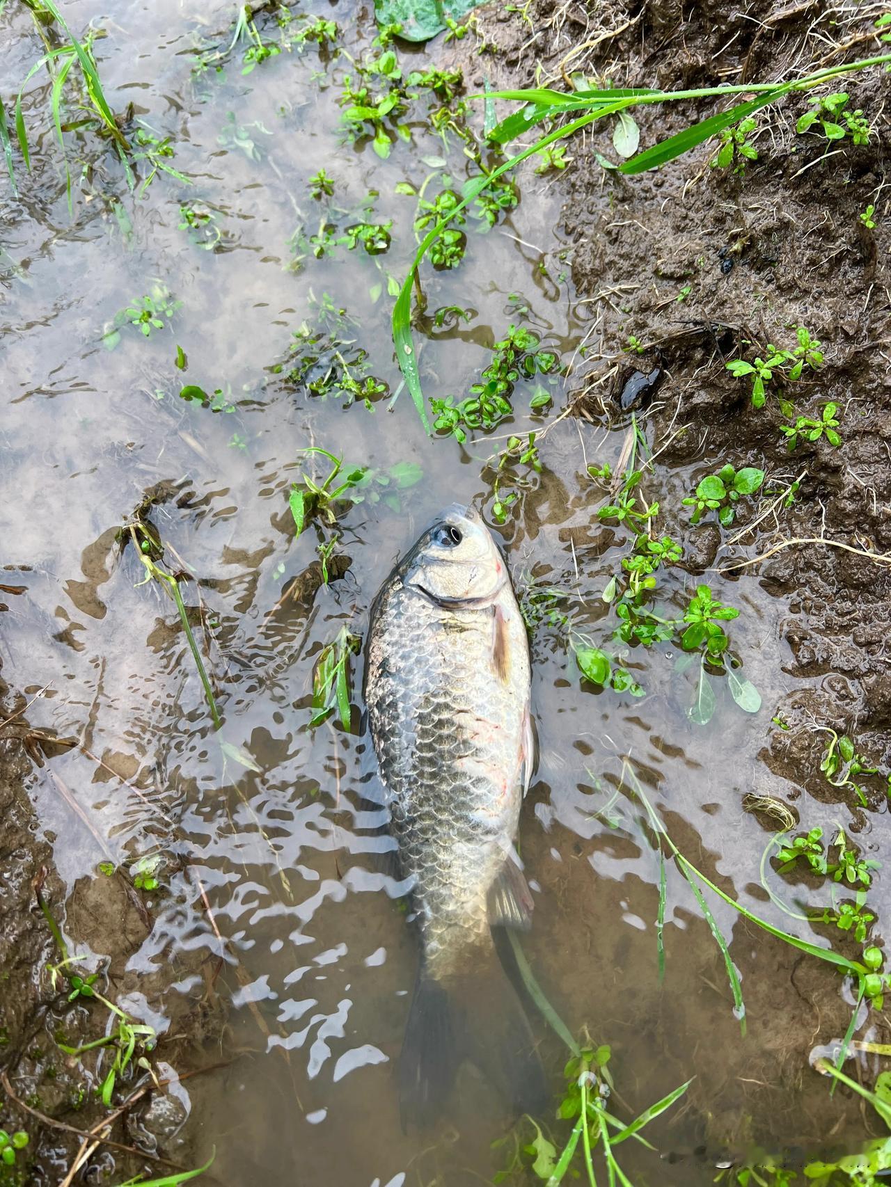 当时只道是寻常，朝花夕拾今才悟……原来最美的风景就在自己长大的地方！