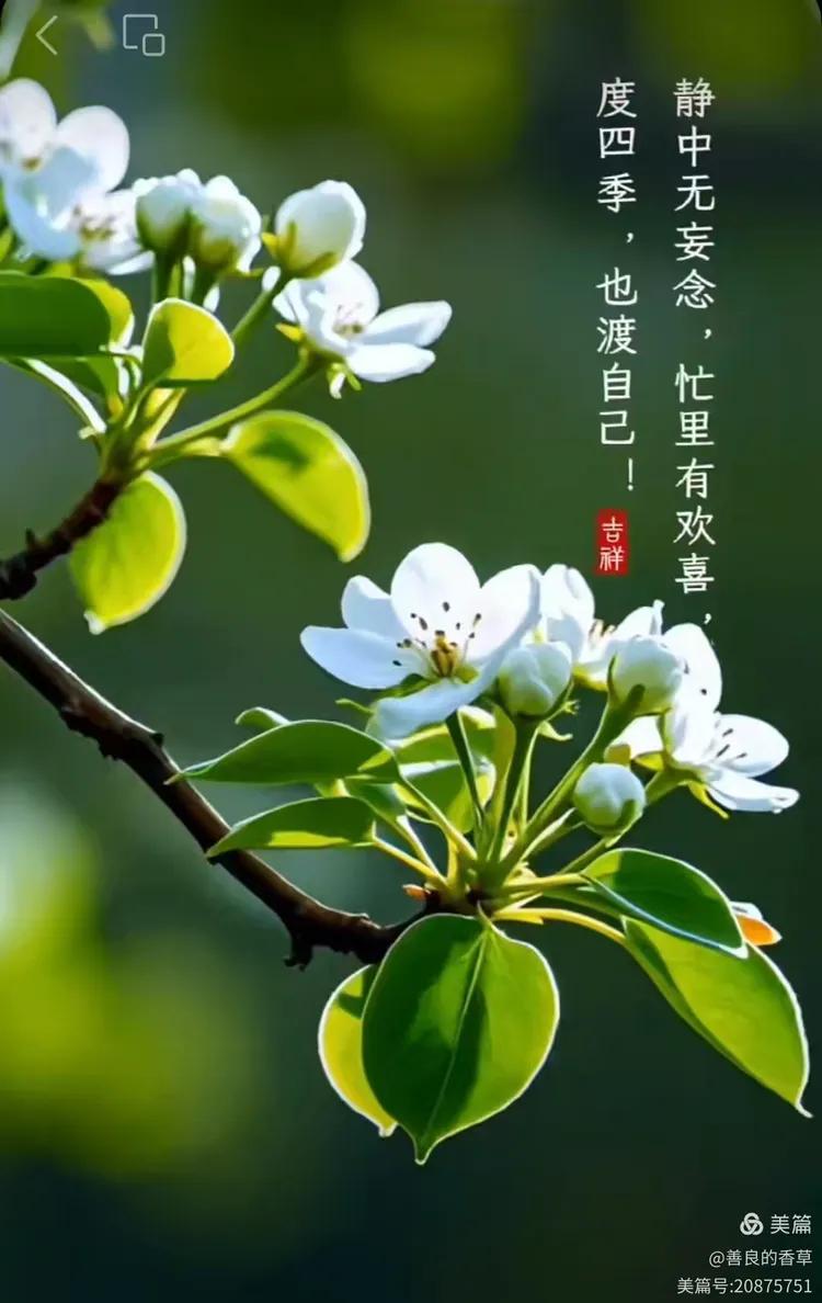 人这一辈子，一天比一天老，日子也一天比一天少。

苦了累了，就停下来歇歇脚，千万