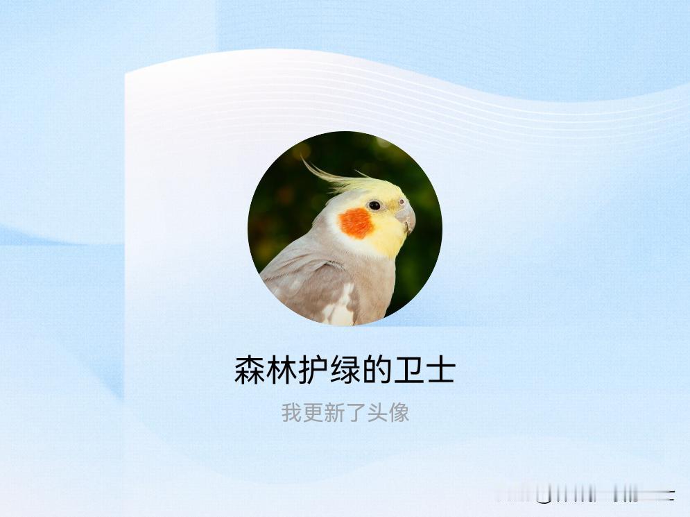 快来看看我新换的头像吧