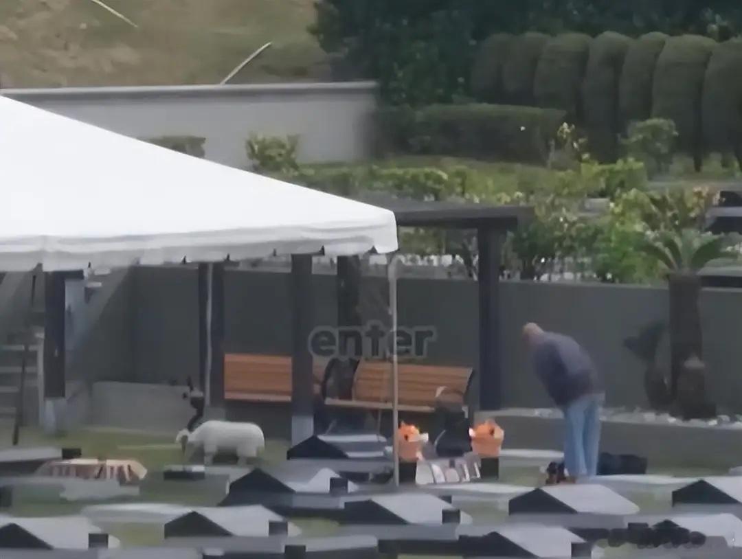 俊晔最新动态：跪在大S墓前掩面哭泣，亲吻墓碑不愿离开！ 