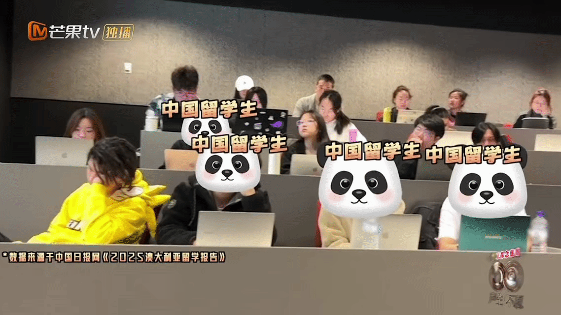 澳洲留学是真实版疯狂动物城 图书馆老鼠监督学习，教学楼孔雀负责走秀，中国留学生则