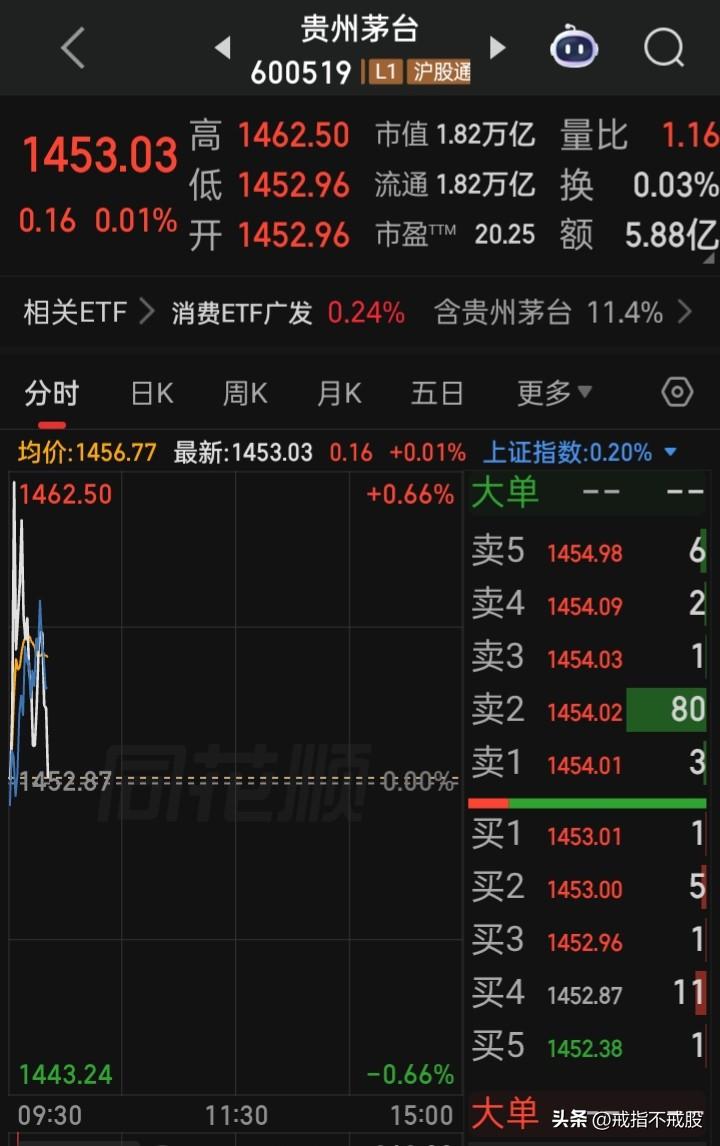 【千元票】
一，老将“茅台”
二，新晋级“源杰”
三，AI“寒纪武”