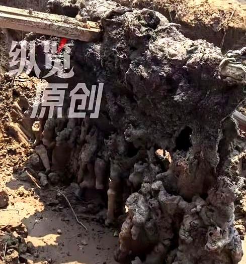 一块石头，能把全村人都看懵，你敢信？
衡水安平一块从麦田里“冒”出来的灰绿怪石，