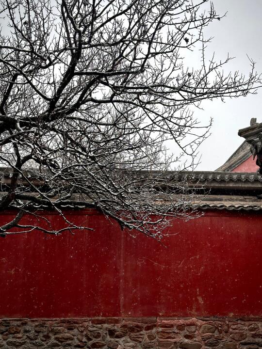 又见五台山，来时有路，去时有悟五台山