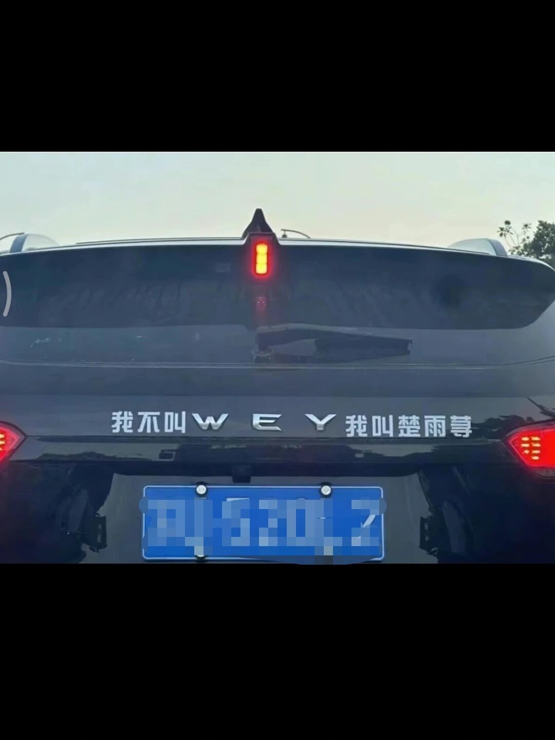 路上的有趣灵魂，我宣布魏派跟比亚迪并列冠军[老师好] ​​​