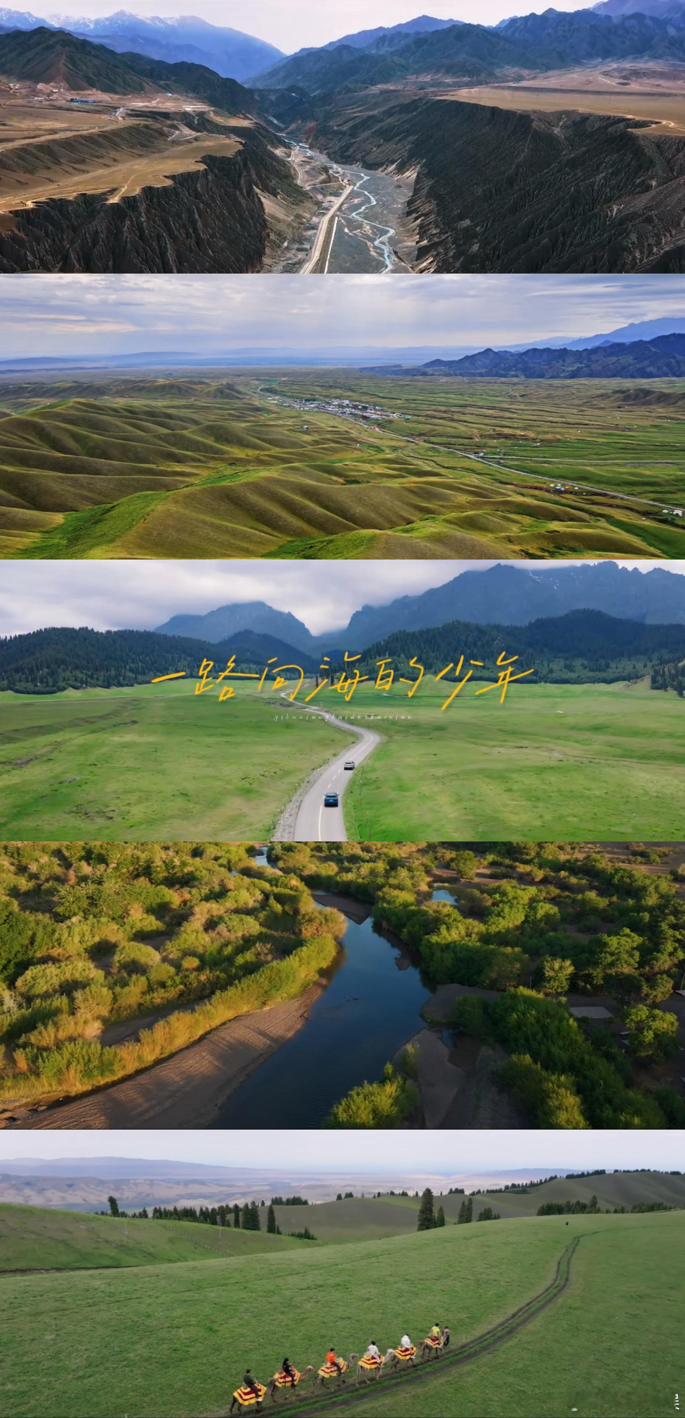 一路向海的少年待播榜第一名一路向海的少年 节目数据的提升离不开粉丝的用心支持，没