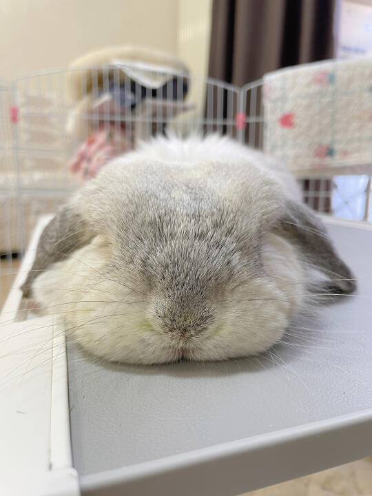 陪麻麻看书的安静乖宝宝🥰😘