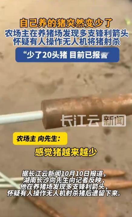 养猪场少了20头猪，怀疑是有人操作无人机将猪射杀。

曾经看过有博主拍射杀野猪的