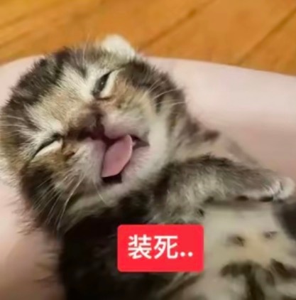 突然刷到百亿补贴五折券的我： 