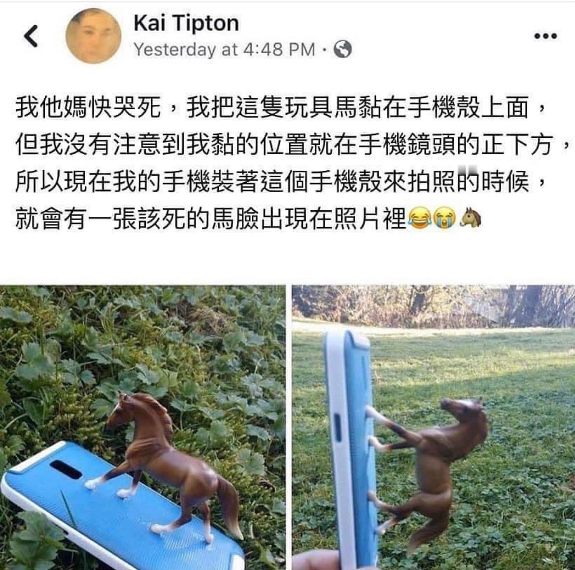 马儿向你问好#meme# ​​​