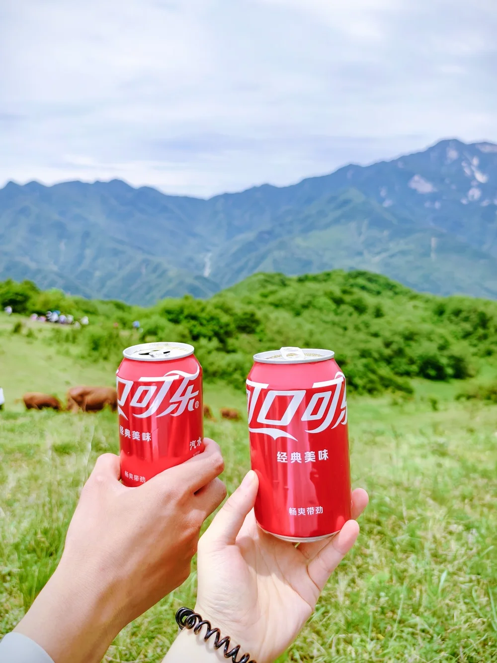 被问爆了！西安周边0难度高山草甸，周末冲