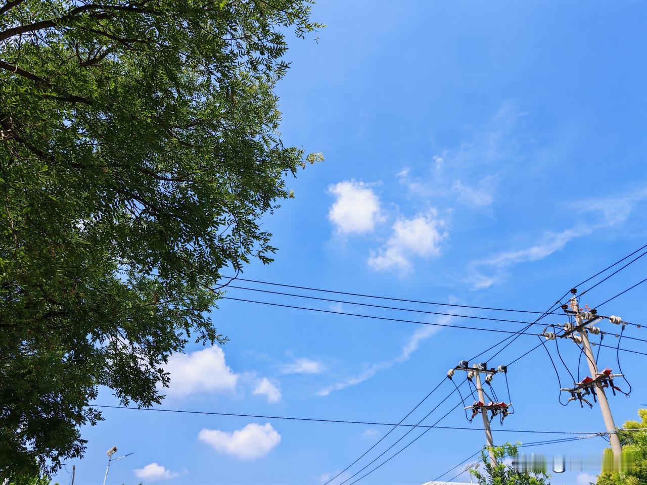 夏日生活打卡季
