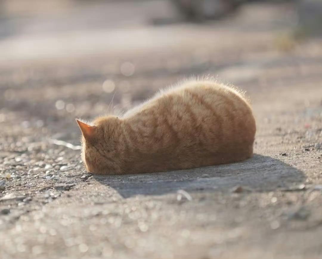 作家刘震云说：
“别把亲戚看得太重，亲戚关系其实都很庸俗。
亲戚关系，爷强则姑亲