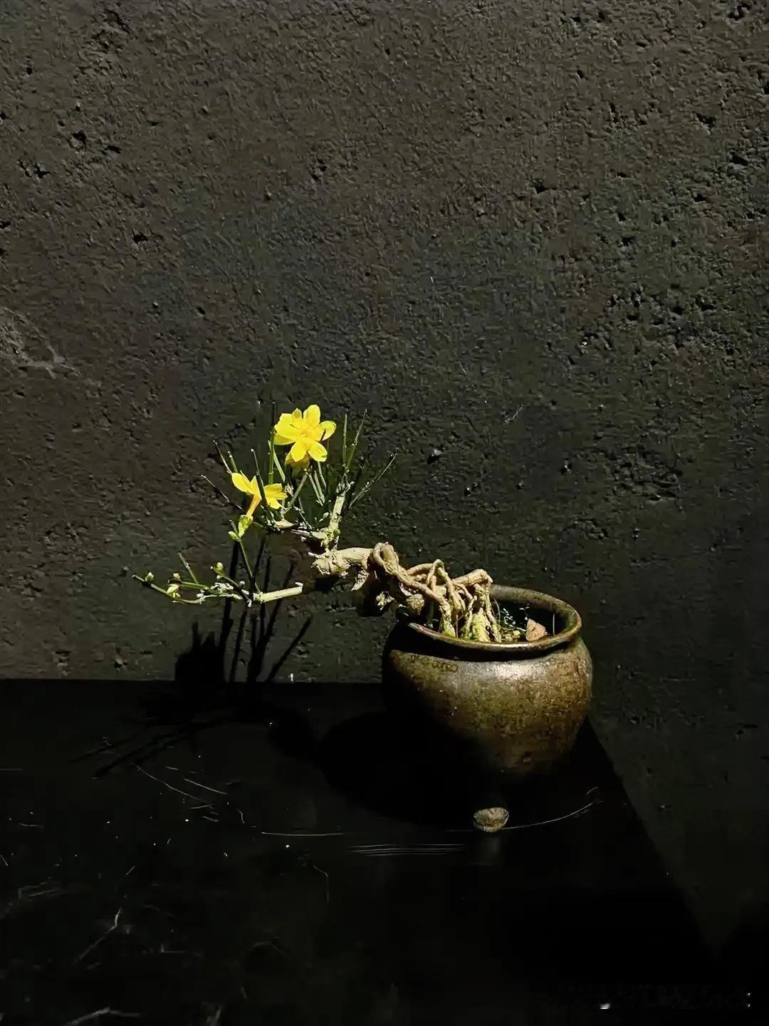 生命的美，不在它的绚烂，而在它的平和