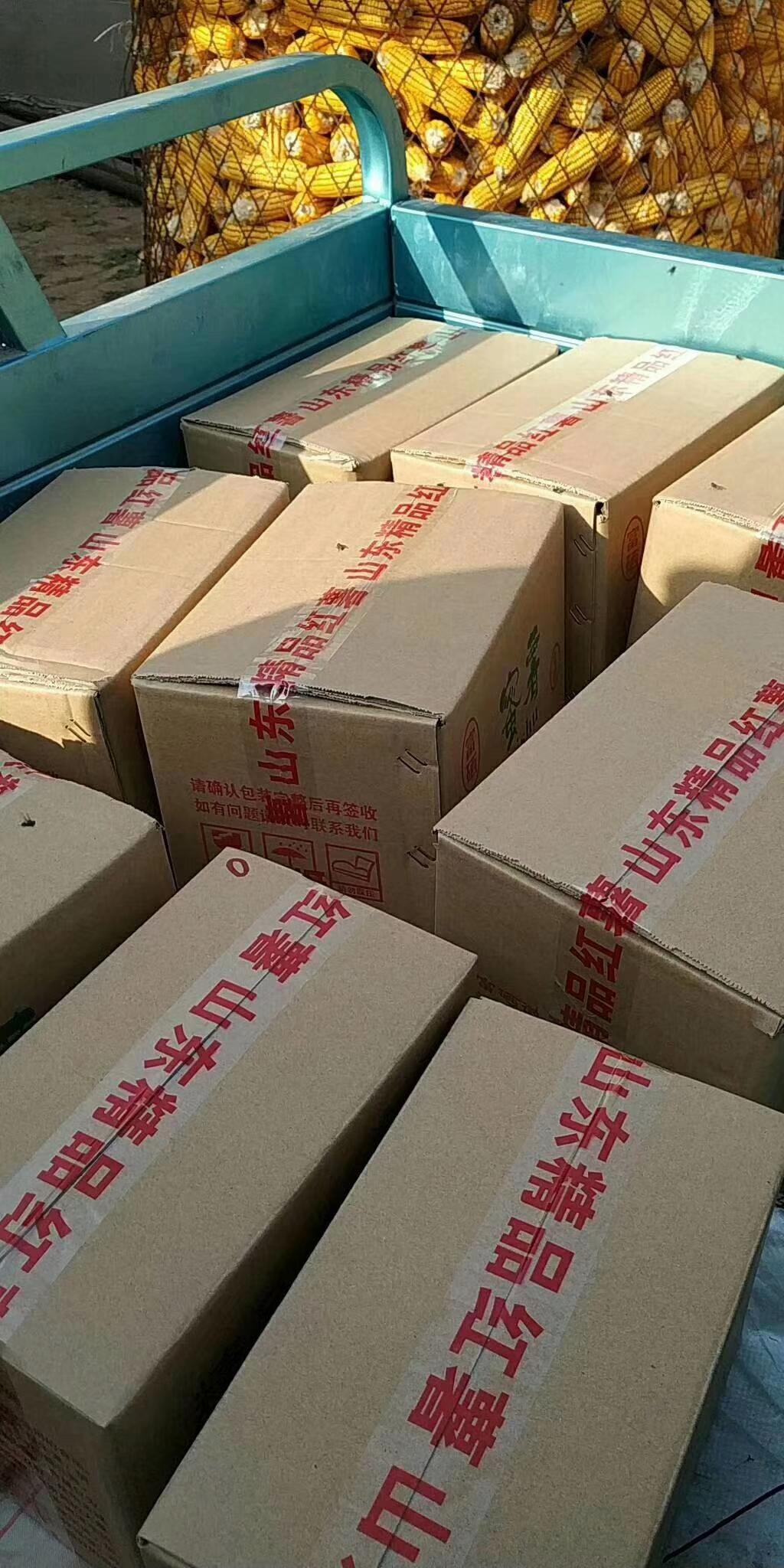 老公的弟弟意外去世了，
都在破案，

是谁害的他，
他怎么就s了，
妯娌说，就是