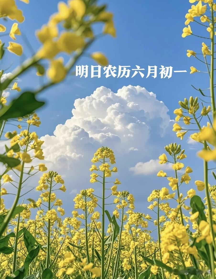 不是迷信！明日六月初一，牢记：1不吃、2不站、3不忌，别大意
 
老话常说“上半