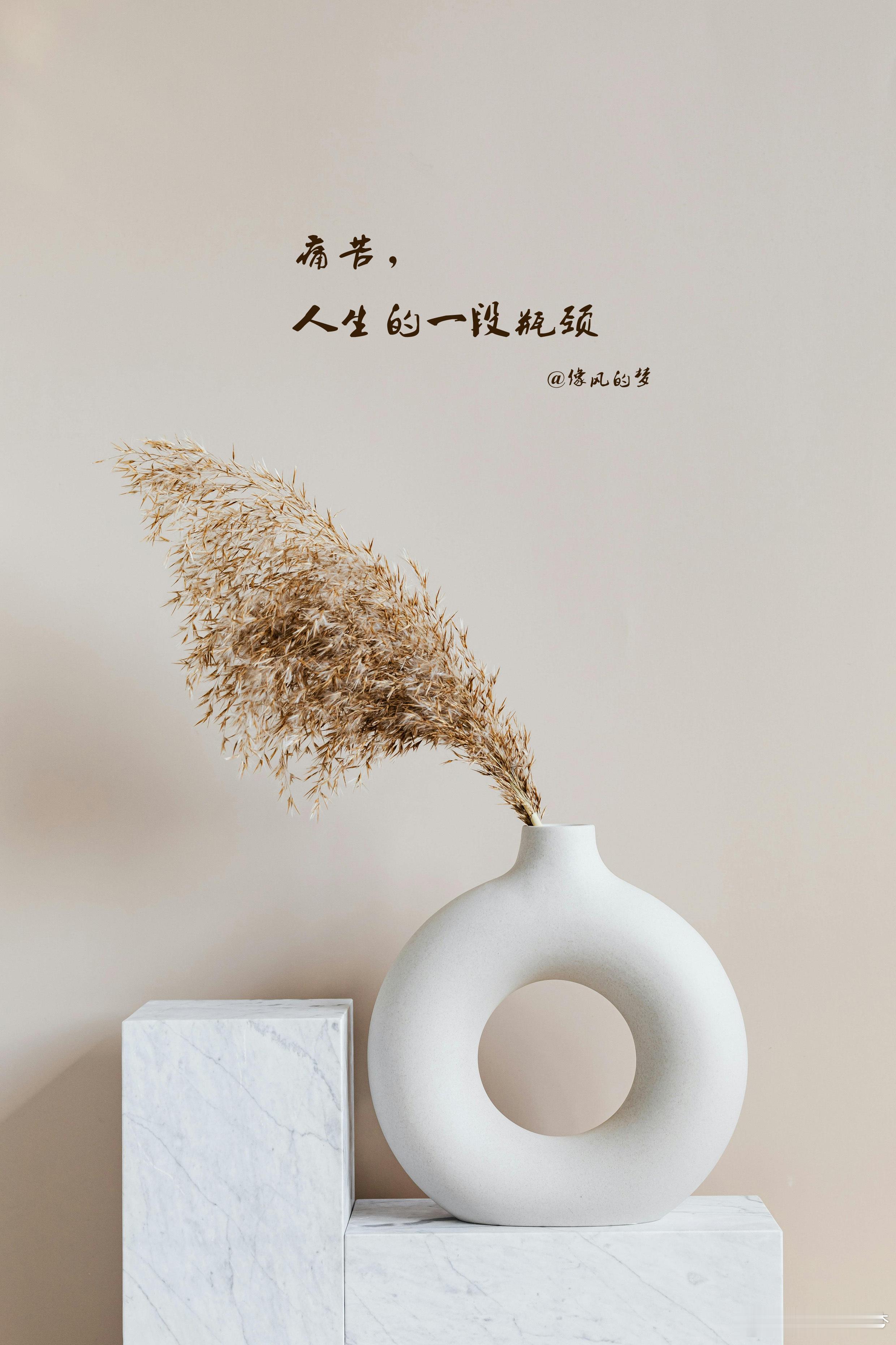 #感悟[超话]# 1.整理归纳，精减断舍，做到身心合一，方可袖手旁观，来去自如，