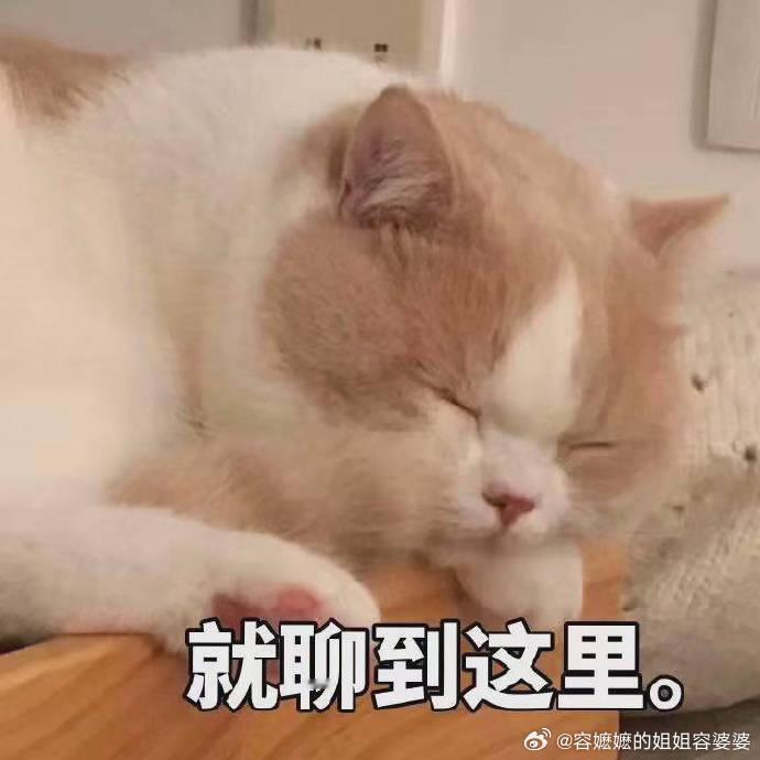 专家称老年人的性需求长期被忽视老年人心理需求引发了另一种社会阶层的变动。另外，每