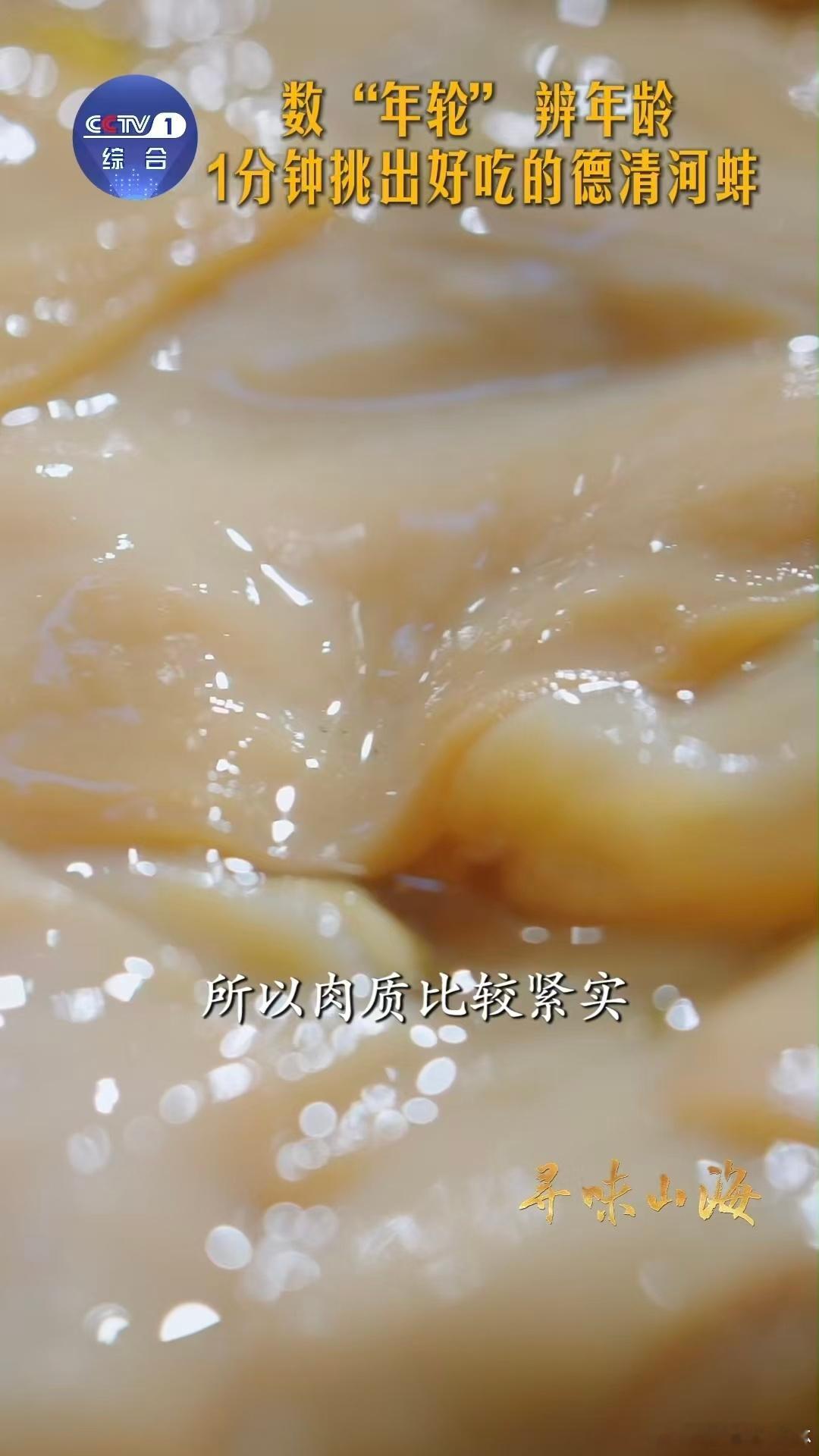 河蚌怎么溜达原来河蚌也有年轮 太神奇了！河蚌不仅有年轮，还靠斧足慢慢溜达，这小知