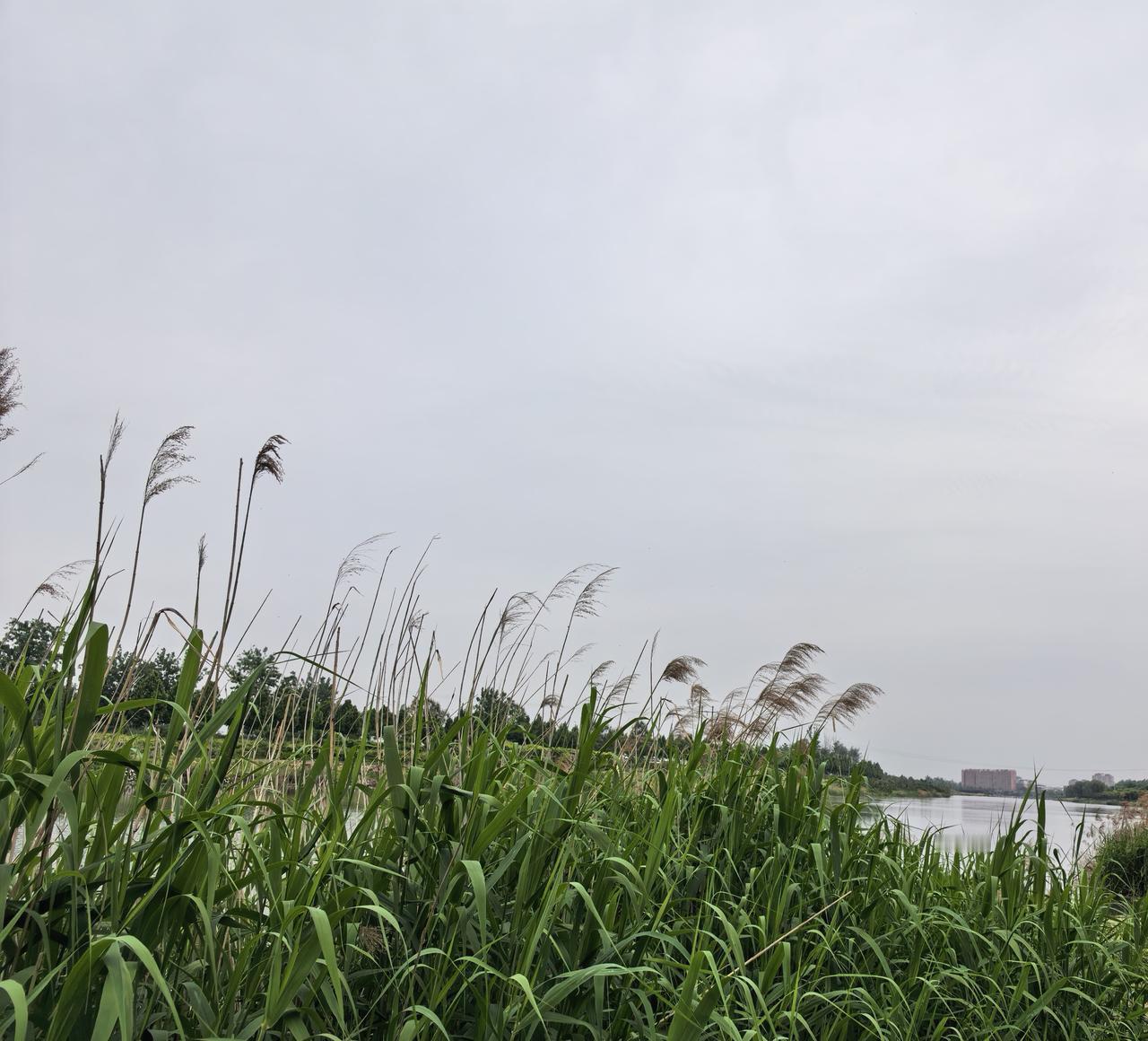 汤汤的涡河水，从历史深处流来，满满的都是苦难酿成的泪。