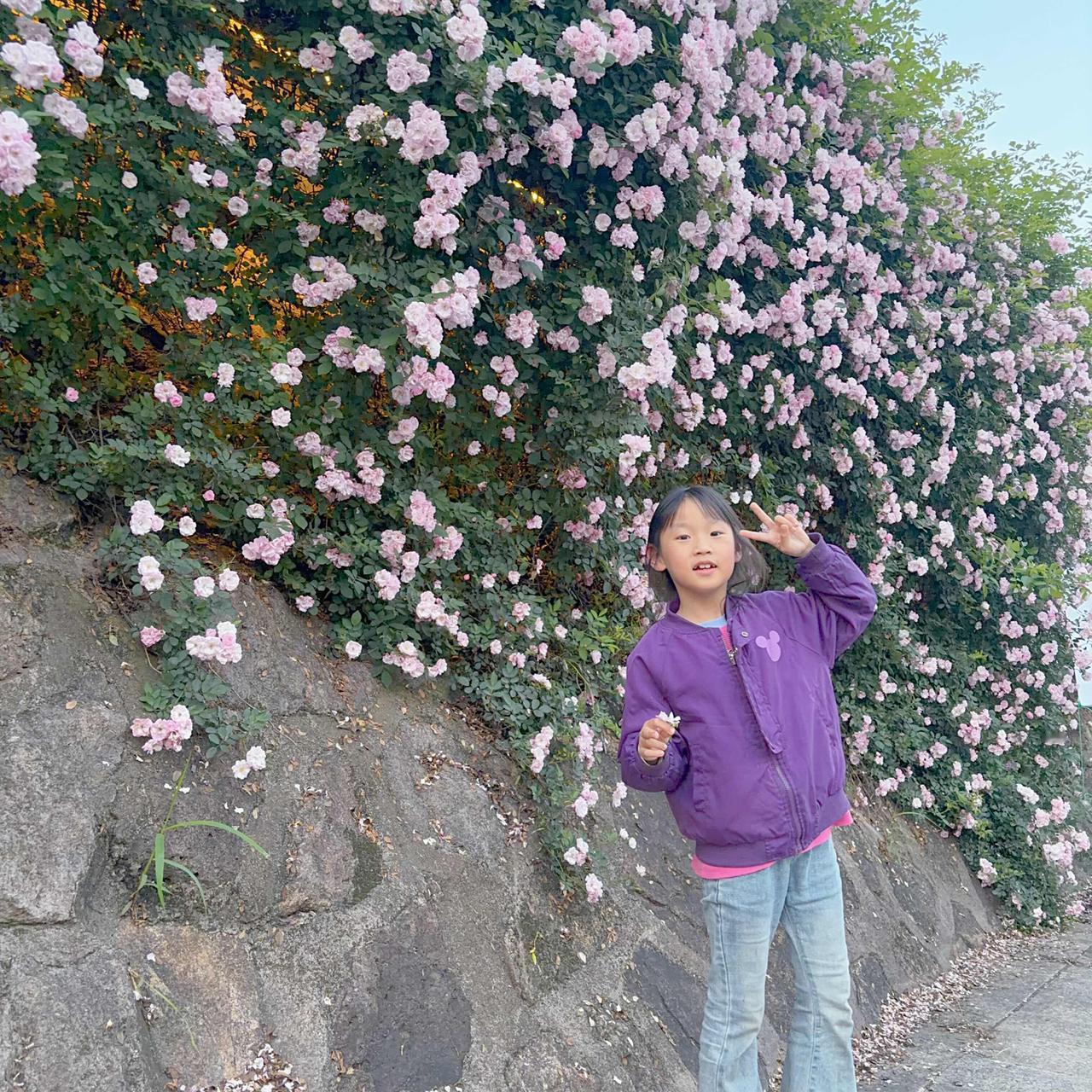 很多人总在找靠山，年少觉得父母是靠山，成年又把伴侣、人脉、金钱当靠山。可这些“外