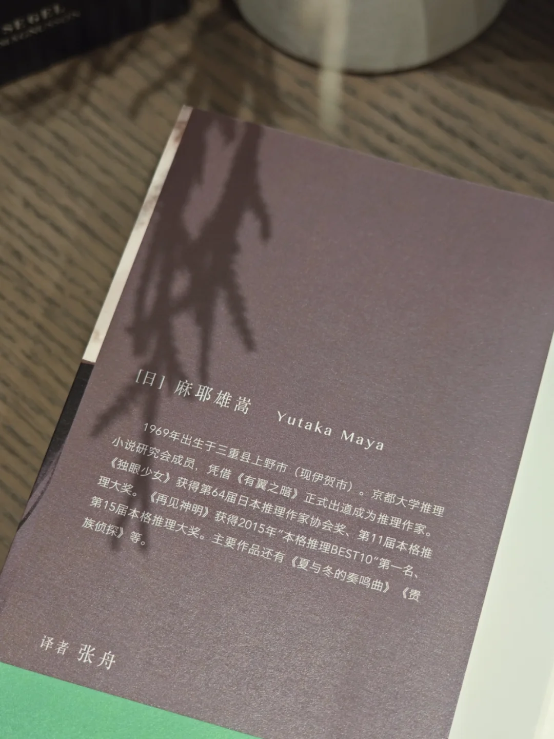 好癫好炸裂！但是我好喜欢！结局简直震惊我