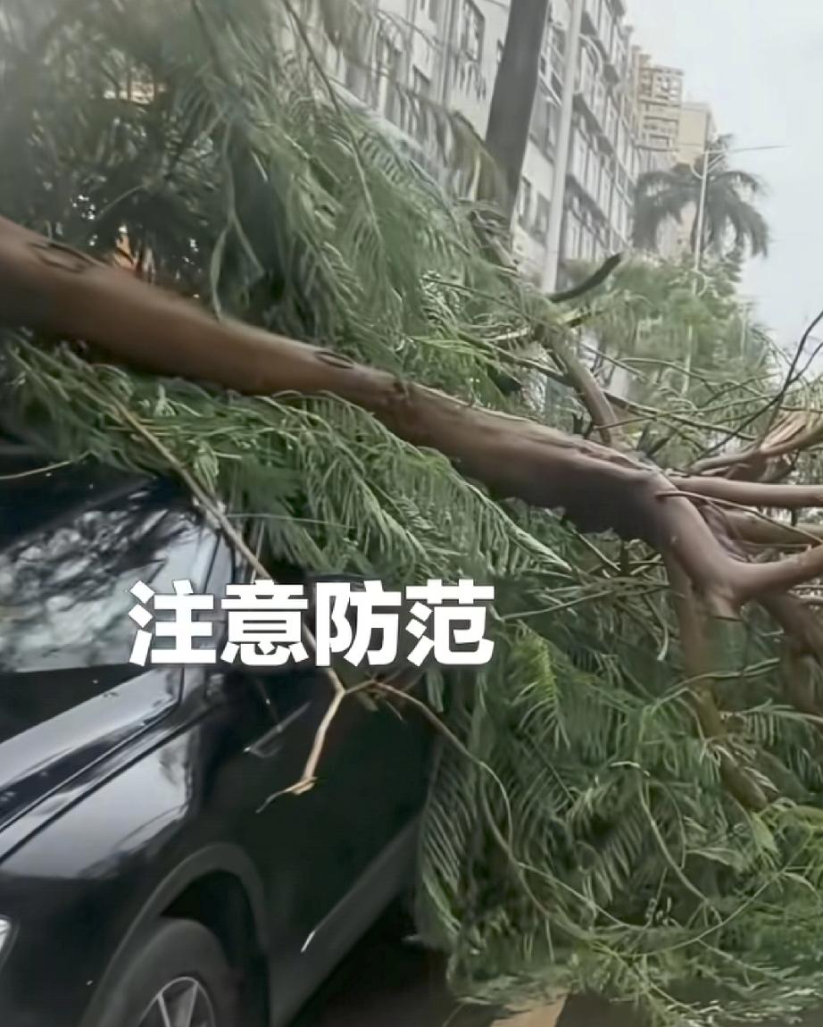 “广东湛江的朋友们，你们现在还好吗？”看见了热搜，台风麦德姆来到了广东省湛江市!