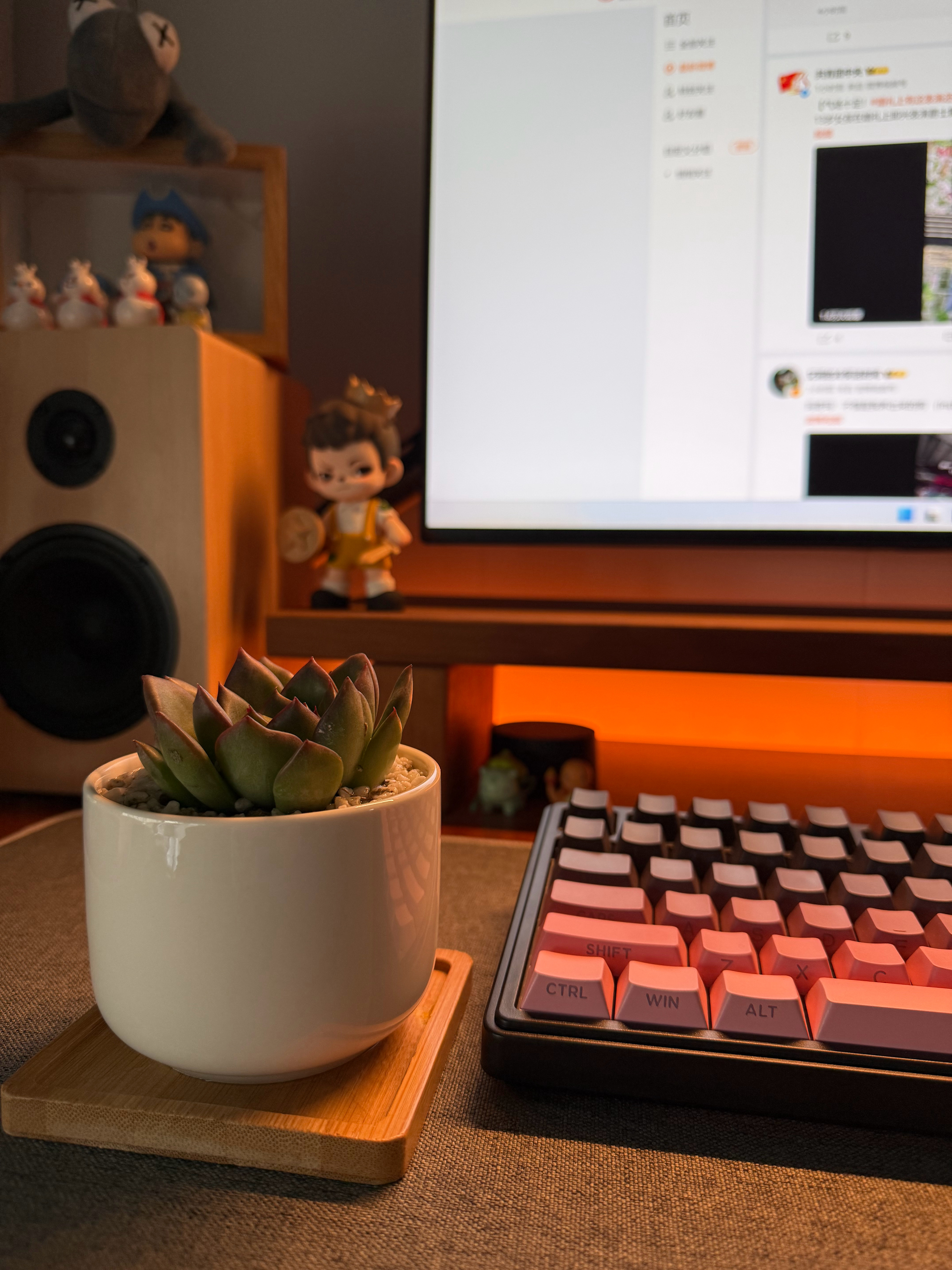 支付宝签到免费领了个多肉，不知道会不会被我养挂掉…… 