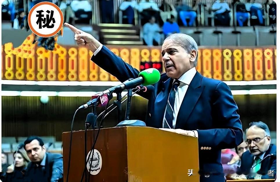 巴铁部长坦言！中巴经济走廊620亿投资遇阻，问题根源在自身。
 
作为“一带一路