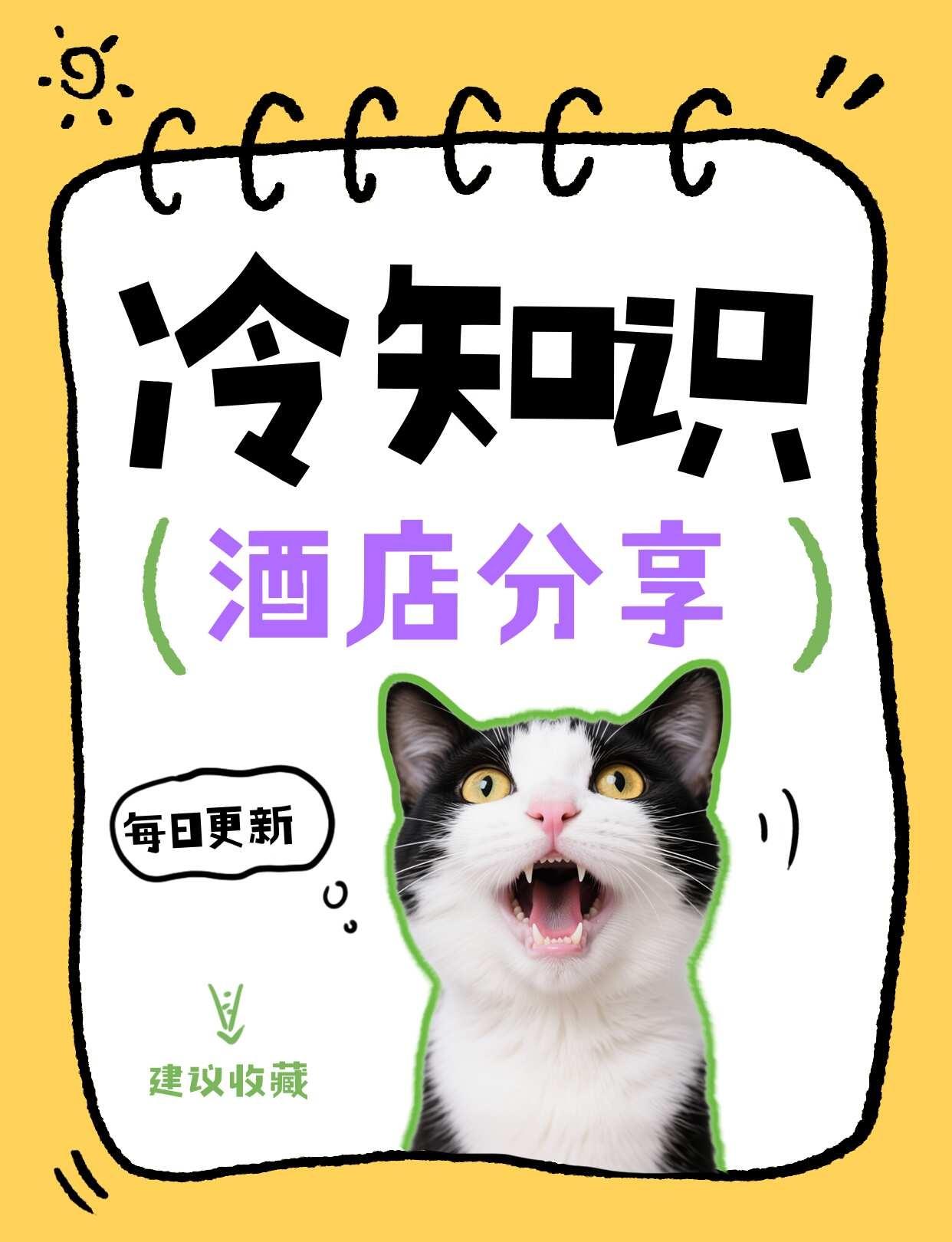 酒店冷知识｜客房里的小度居然这么好用✨
住酒店发现床头柜上的小度，很多宝子只拿来