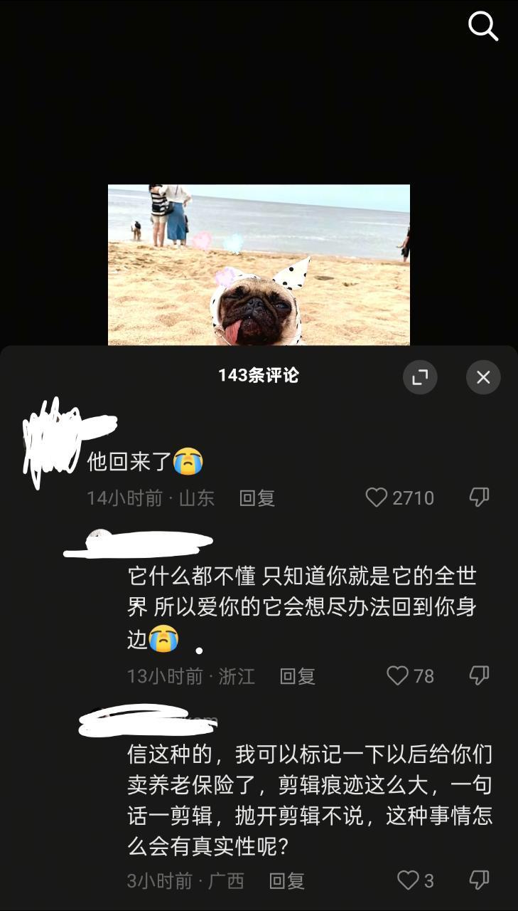 原视频是一个博主发了自己新小狗和之前自己死亡小狗的相同动作反应…宝子你就继续在这