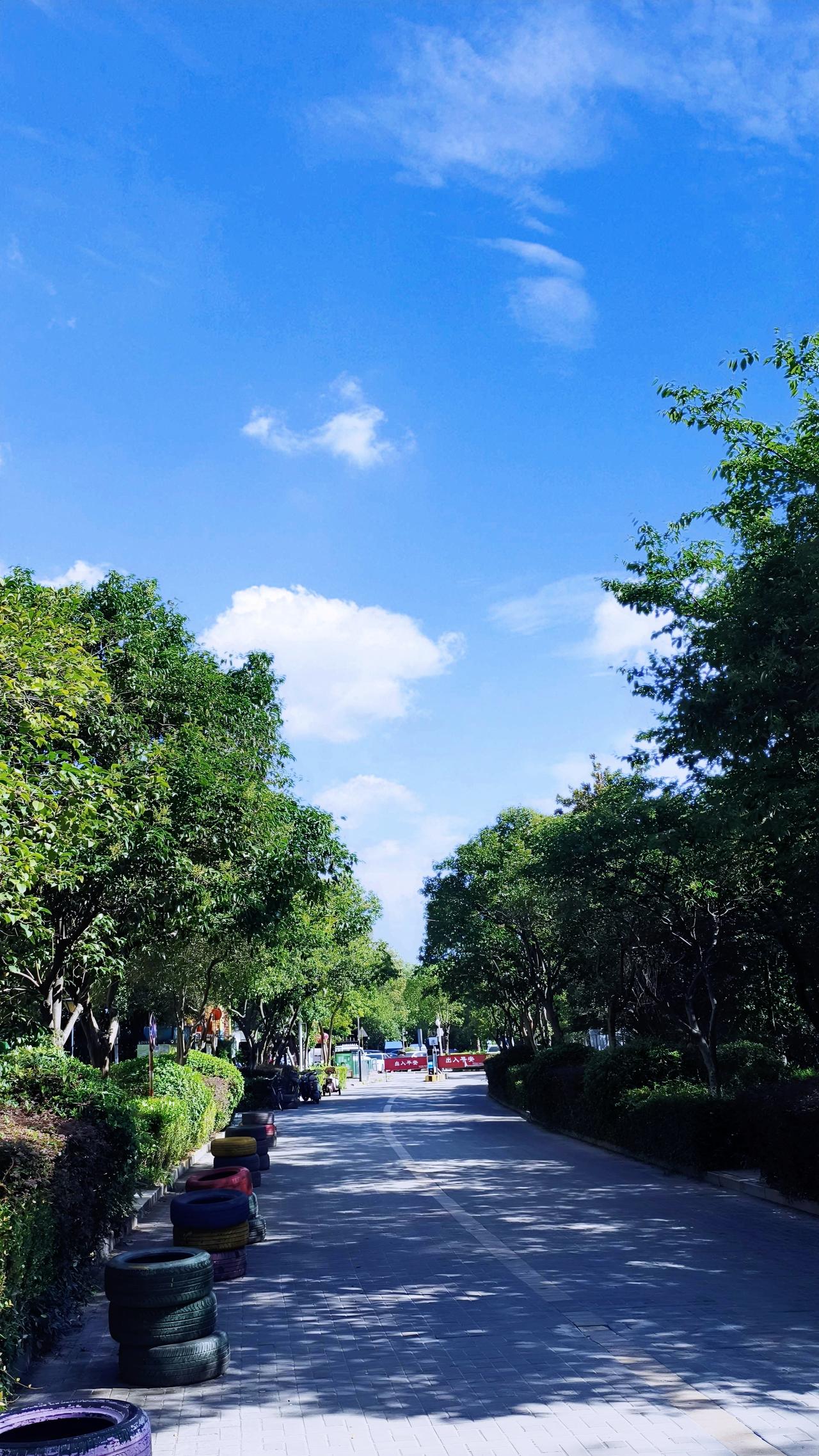 黄梅天和台风“巴威”刚走，南京就迎来高温黄色预警，这天气转换简直绝了。2026年