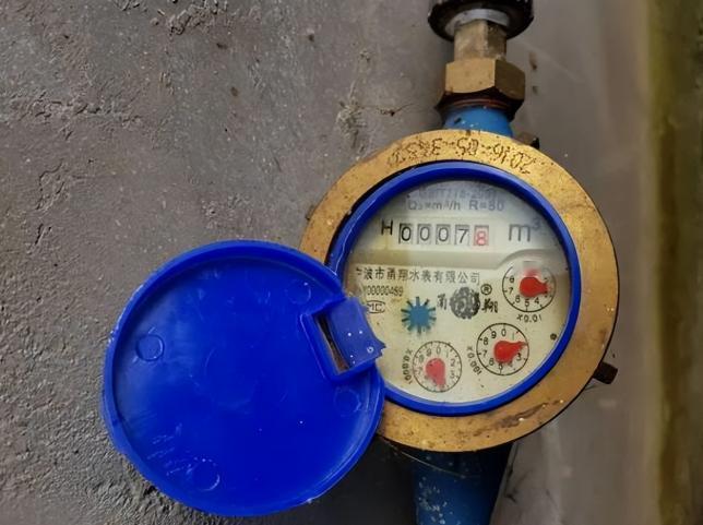 比芯片被卡脖子还要可怕！难道水表电表就要悄悄变成私人资本捞钱工具吗？水电网络是民