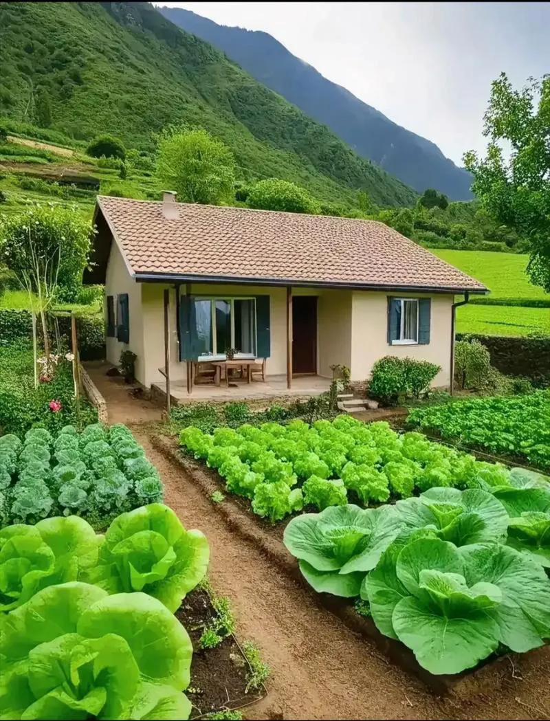 在当今社会，买房与买车是许多人财务规划中不可避免的话题。尤其是对于首次踏入社会、