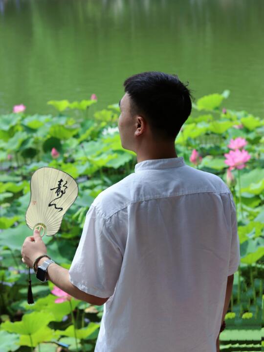 初夏荷花，就是绽放的夏天