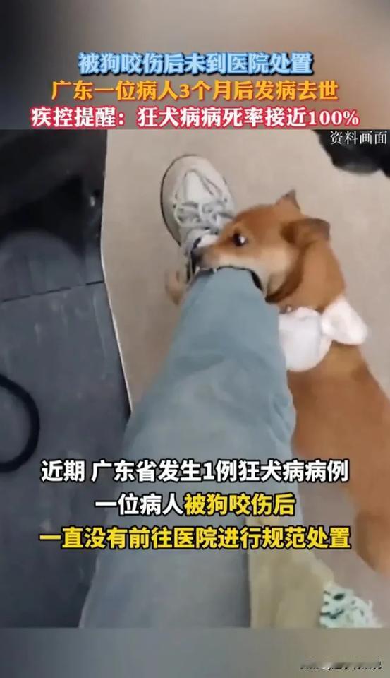被狗咬伤，致死率高达100%？

有消息爆出，广东有个人被狗咬伤，没有及时去医院