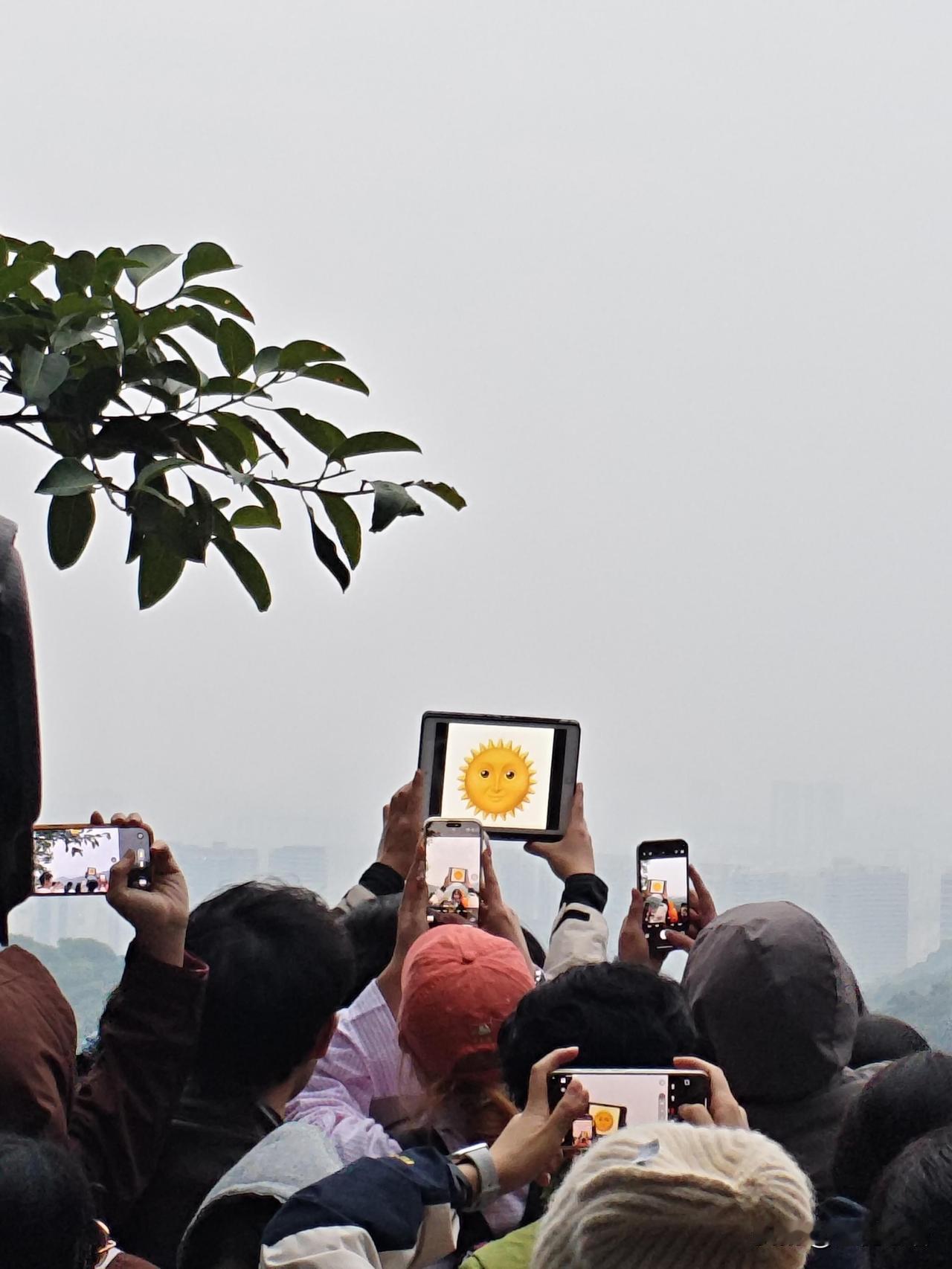 第一次爬白云山等日出，
结果等来了“赛博太阳”！

凌晨摸黑爬山，
冻得瑟瑟发抖