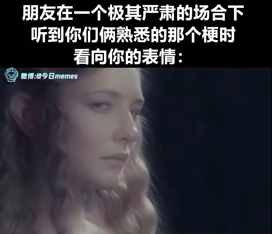 快懂今日meme 今日memes