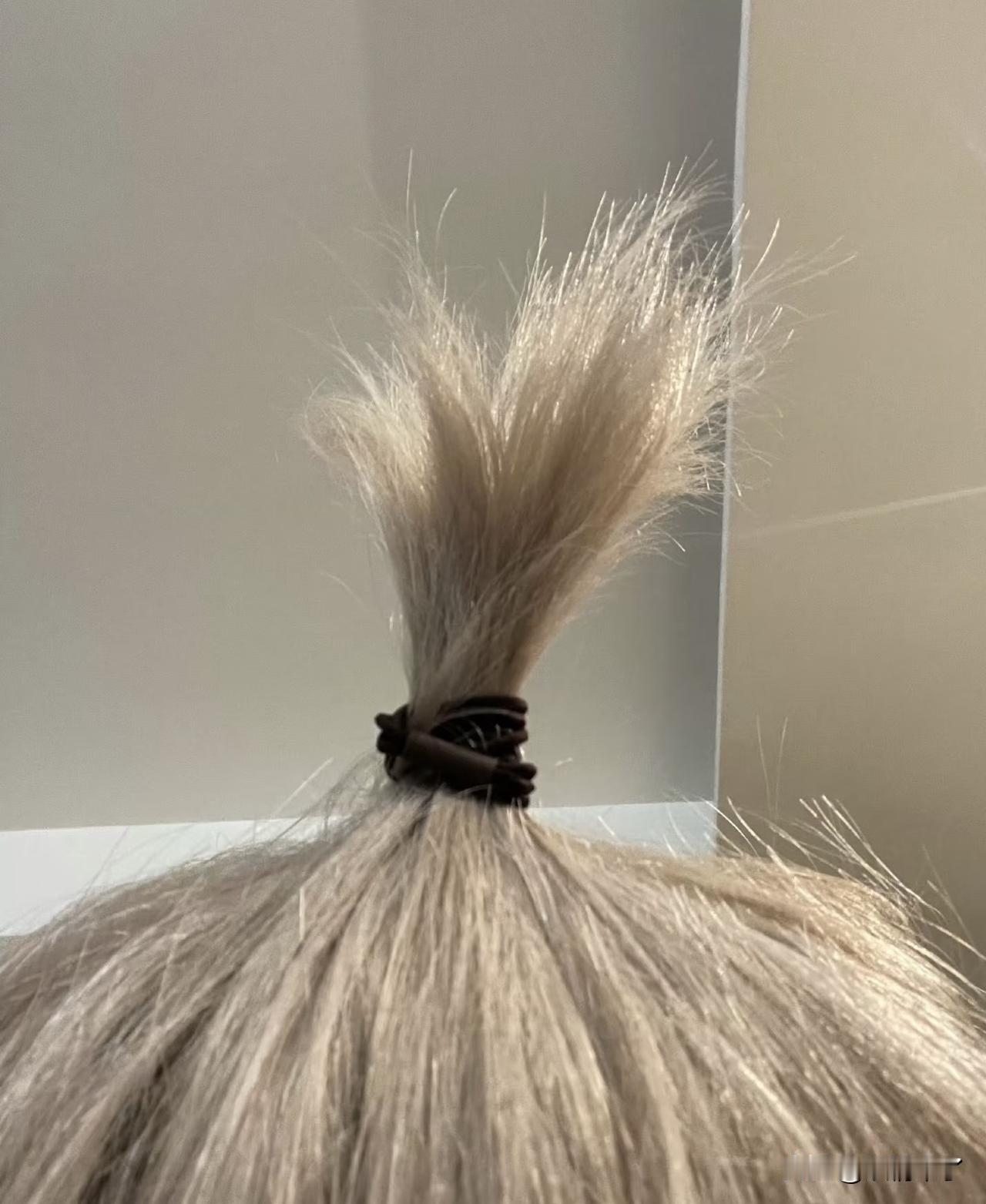 张一山终于找到了微博密码[呲牙]银发造型回归