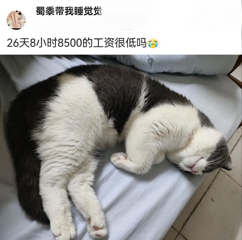 26天8小时8500的工资放眼全国算什么水平？