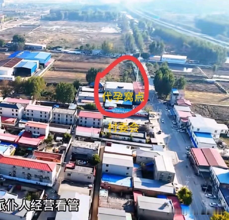 代孕这个事儿，你要说当地村委会一点也不知道，谁也不会相信，看看这张图就一墙之隔，