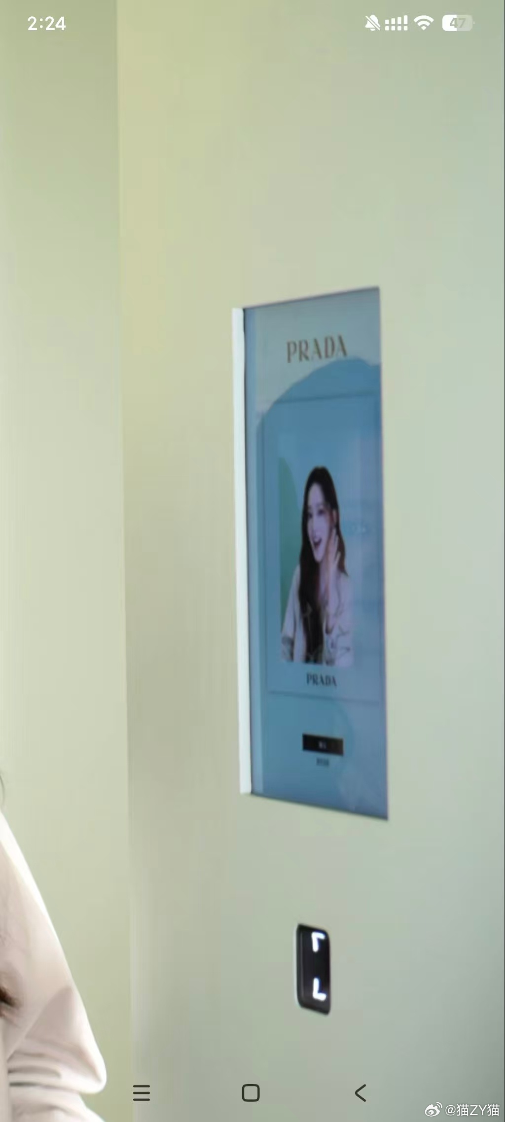 美美沁李沁prada