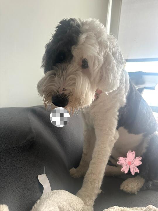 嘿嘿嘿今天不上班