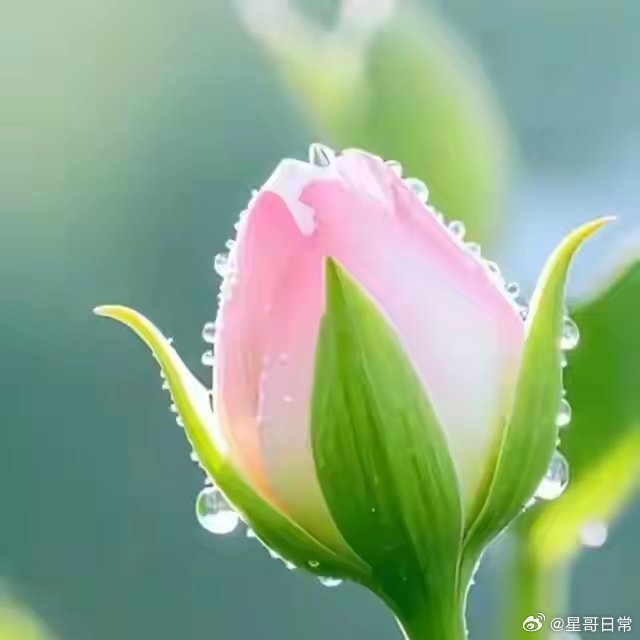 全球人形机器人九成中国造   商业航天，在大漂亮比较适合。在夏村，我更看好人形机