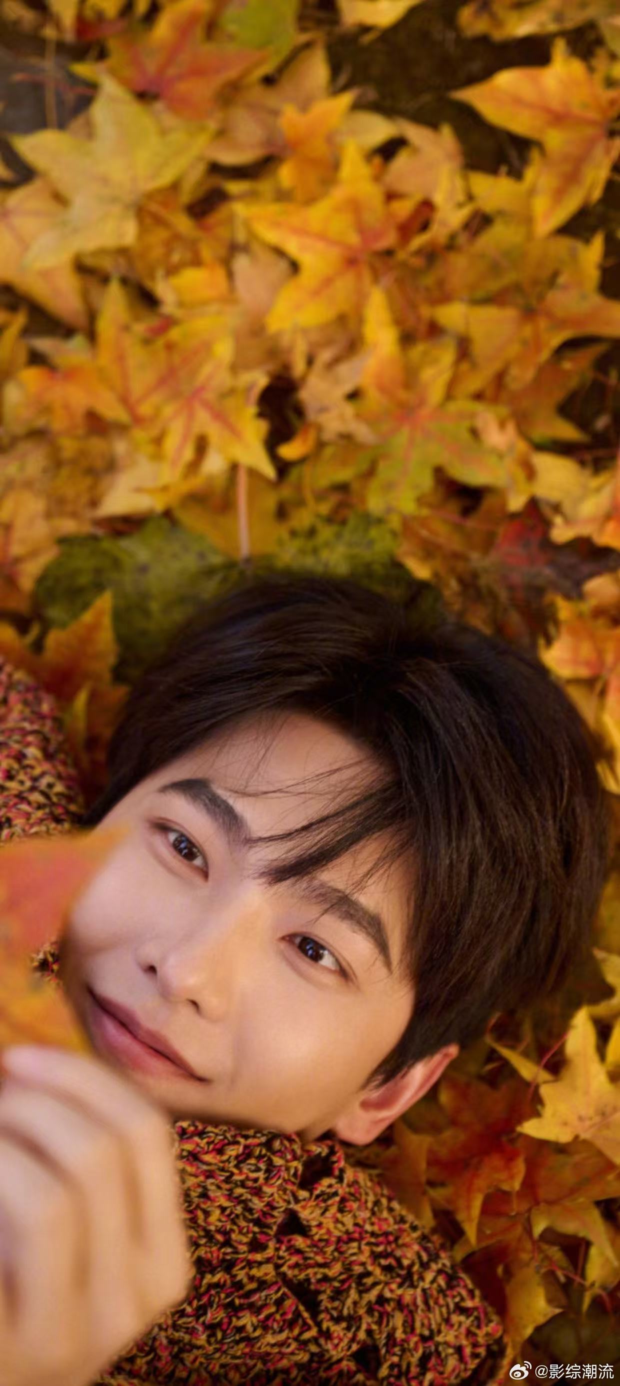 杨洋刷新了我的手机颜值 杨洋的动态壁纸简直是手机里的“小心机”，每次开锁屏幕，仿