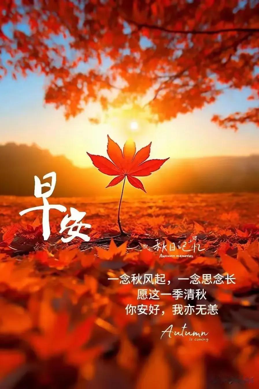 #一句话证明秋天来了#秋风瑟瑟，树花飘零。