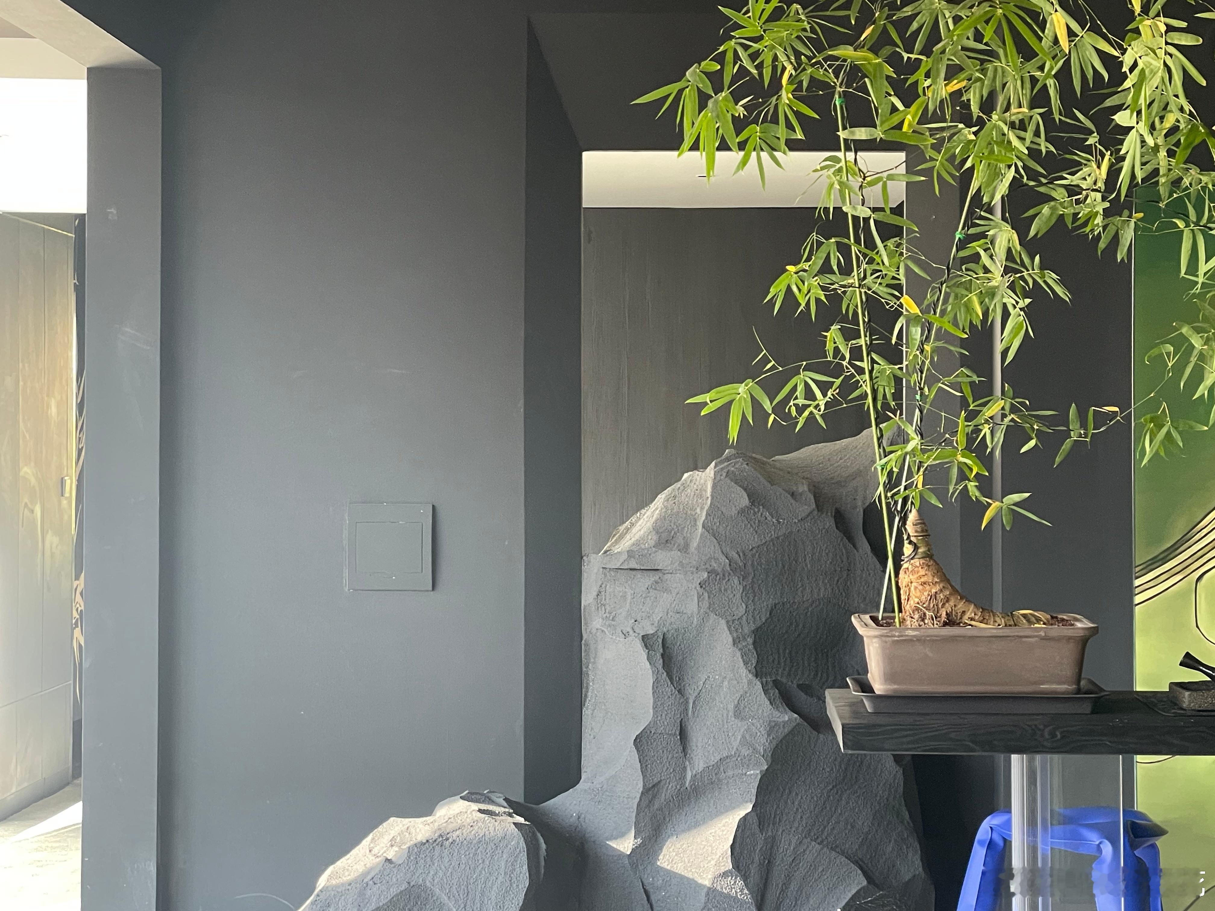 清库存#遇见美好#  ​​​