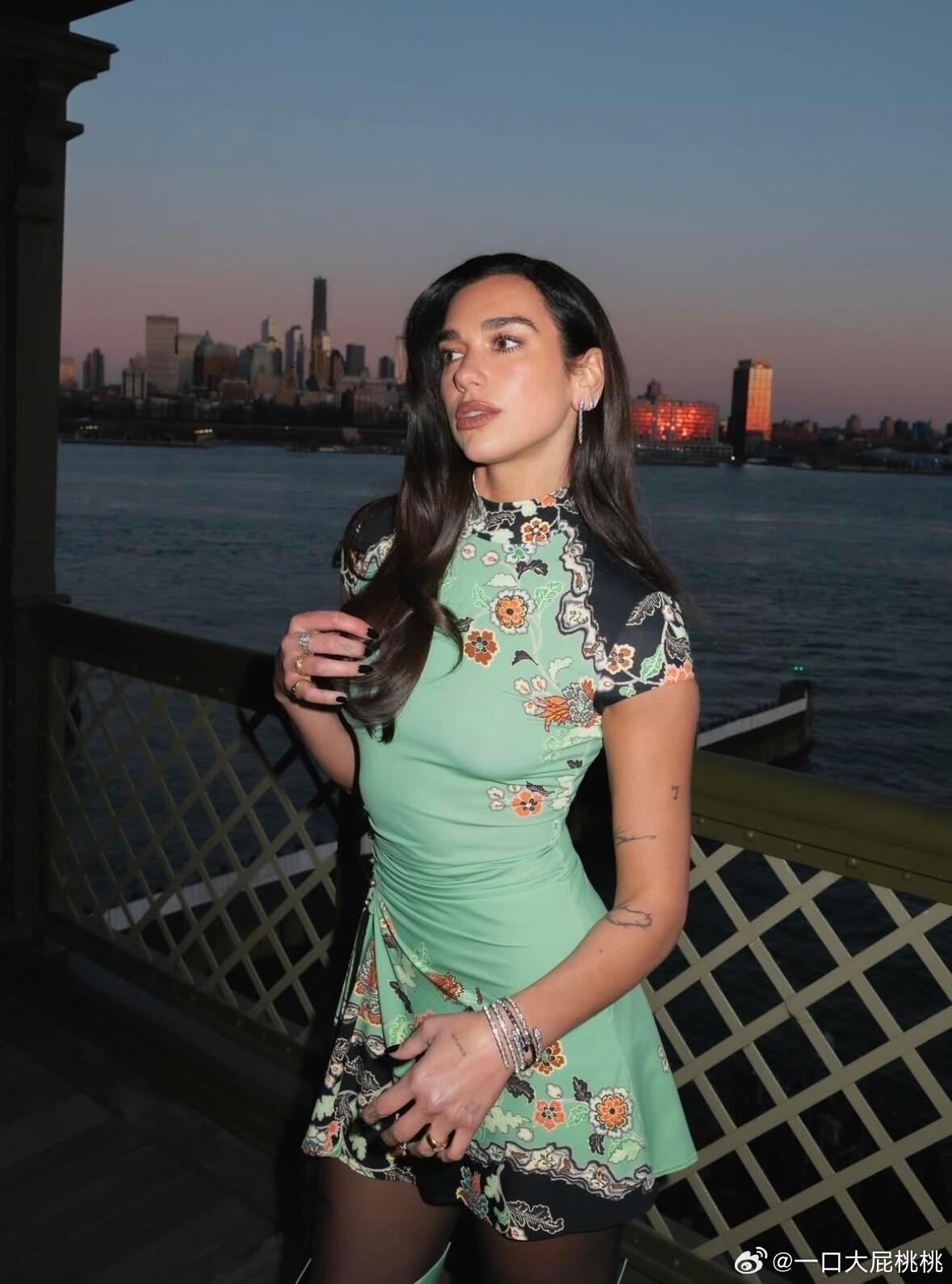 Dua Lipa 在纽约参加线下活动，上身了ROBERTO CAVALLI 20